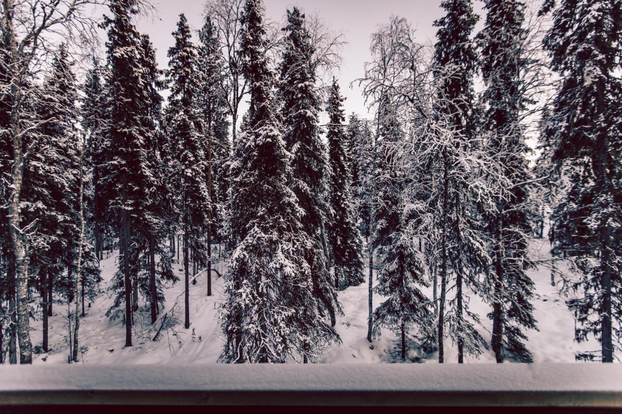 Villa Happy Fox Rovaniemi Kültér fotó